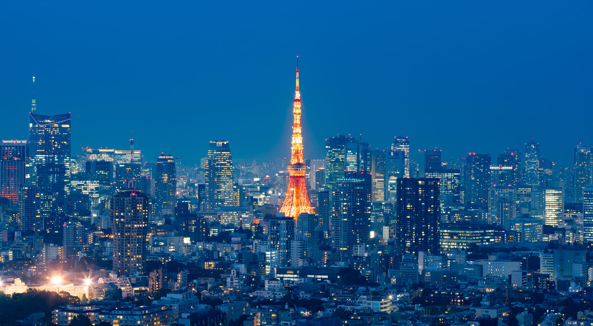 para_02_bg